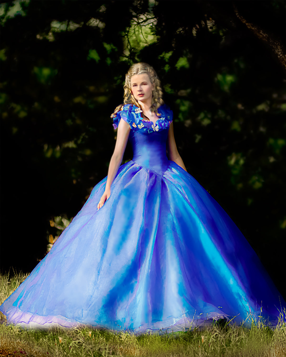 Cinderella Princess Costume
