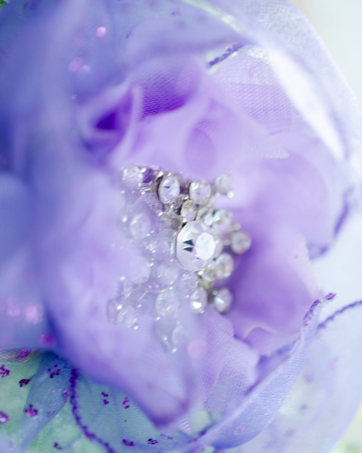 Crowned in Lilac