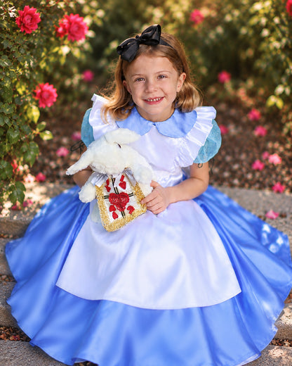 Alice in Wonderland Costume