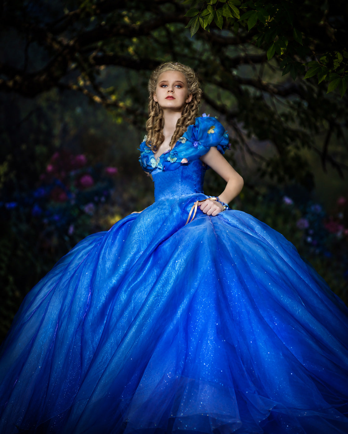 Cinderella Princess Costume