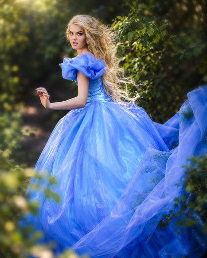Cinderella Princess Costume