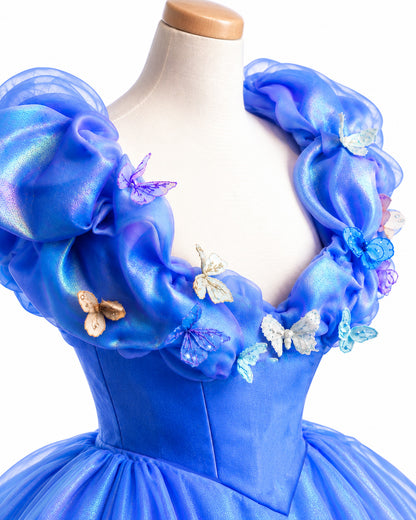 Cinderella Princess Costume