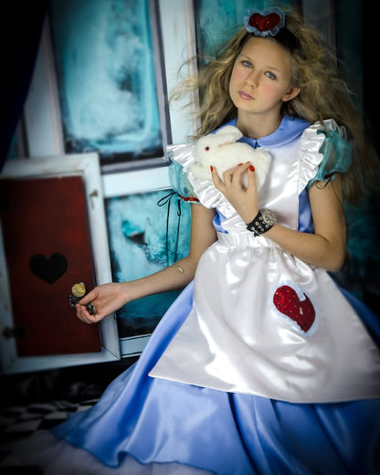 Alice in Wonderland Costume
