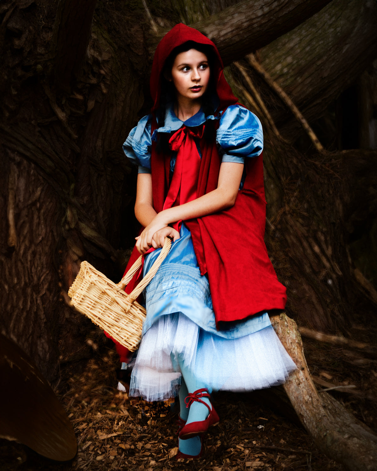 Little Red Riding Hood